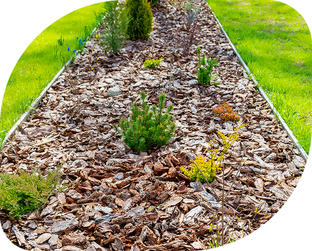 Amenagement-et-finitions-exterieures-a-Ternay-en-Auvergne-Rhone-Alpes-OceG-Paysage-entretien-des-espaces-verts