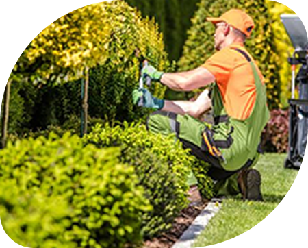 Taille-de-haies-et-arbustes-a-Ternay-en-Auvergne-Rhone-Alpes-OceG-Paysage