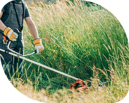 Remise-en-etat-et-debroussaillage-a-Ternay-en-Auvergne-Rhone-Alpes-OceG-Paysage-entretien-espaces-verts