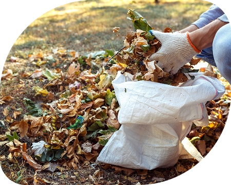 Évacuation des déchets verts à Ternay