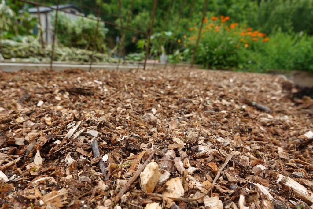 Paillage de jardin à Ternay - OcéG Paysage entretien espaces verts