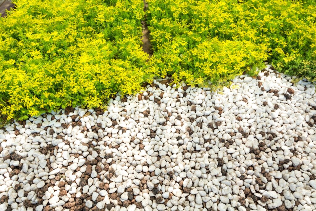 Paillage minéral à Ternay OcéG Paysage entretien espaces verts