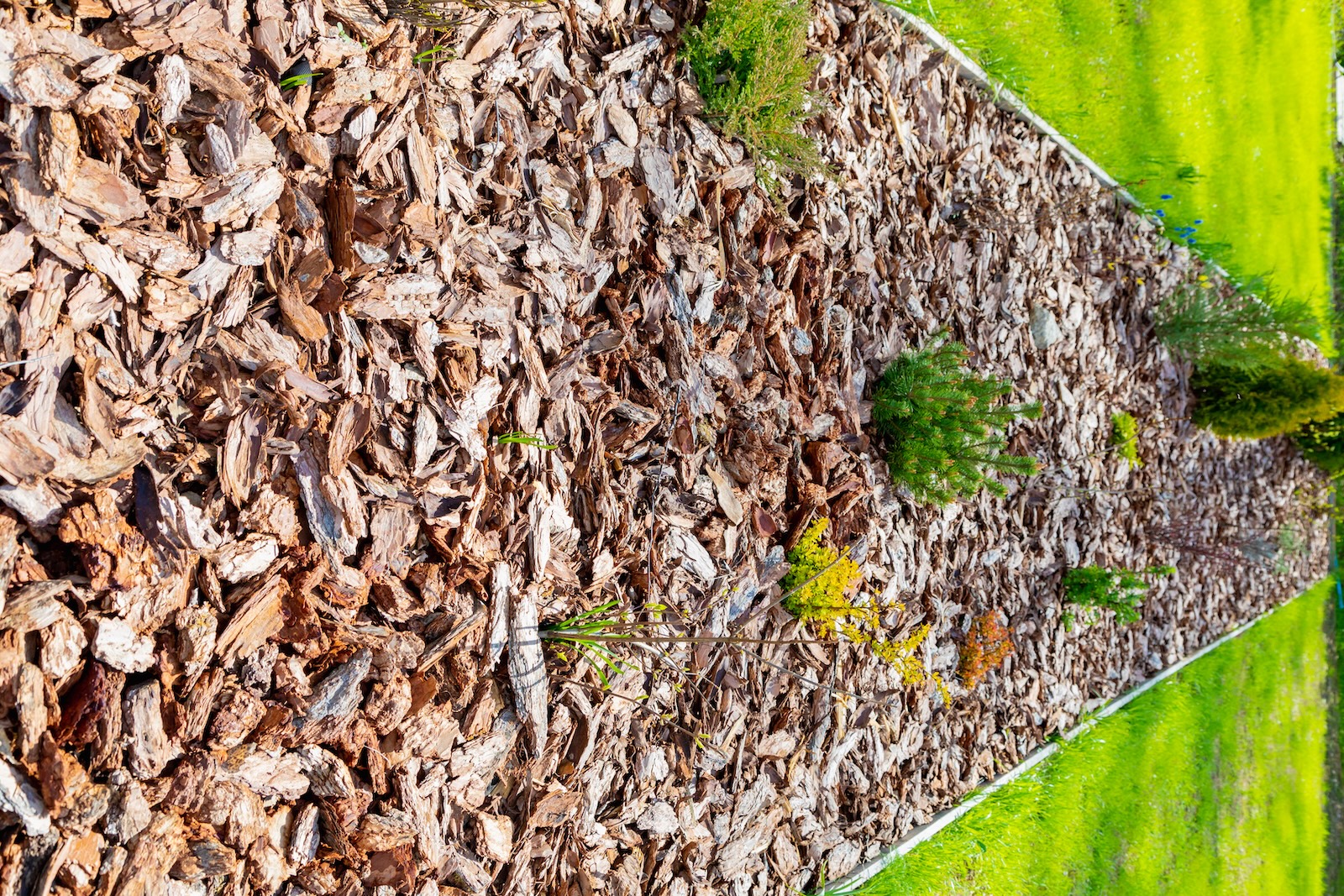 Paillage végétal à Ternay - OcéG Paysage entretien des espaces verts